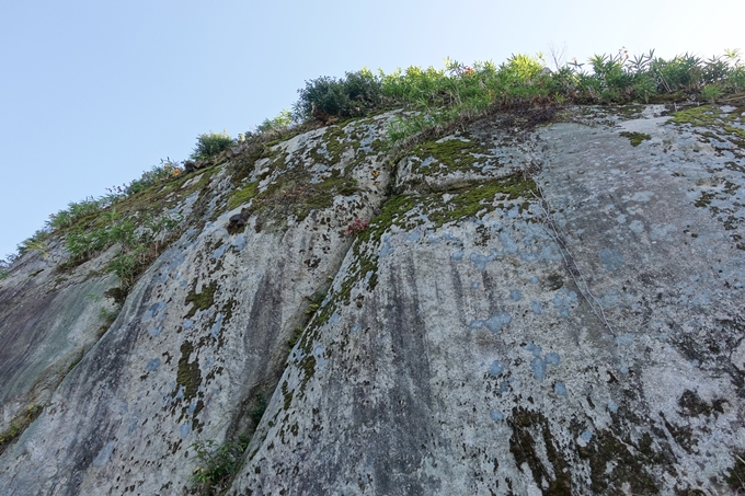 岐阜_中津川_苗木城_岩村城　No77