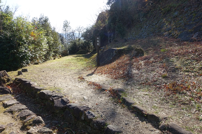 岐阜_中津川_苗木城_岩村城　No109