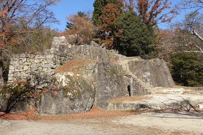 岐阜_中津川_苗木城_岩村城　No111