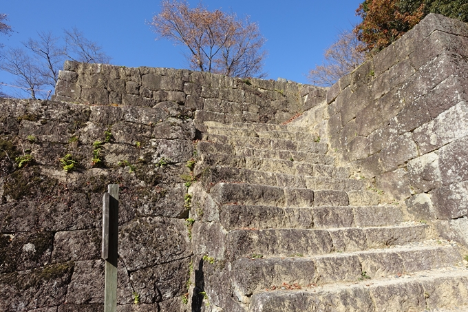 岐阜_中津川_苗木城_岩村城　No113