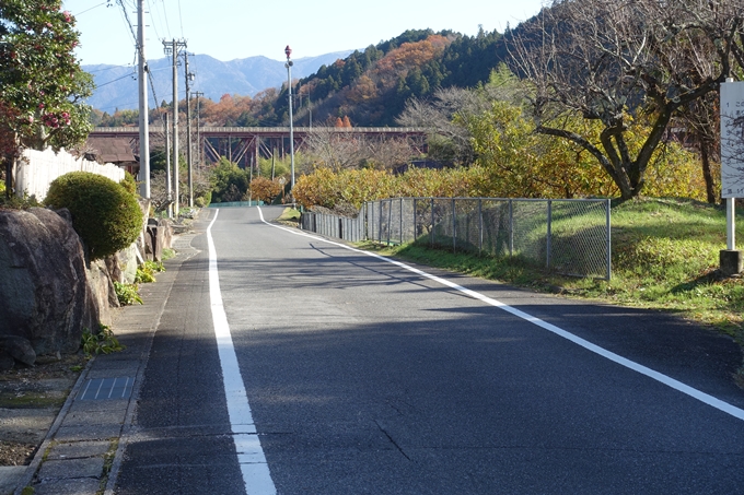 岐阜_中津川_苗木城_岩村城　No119