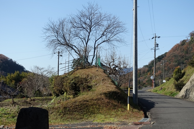 岐阜_中津川_苗木城_岩村城　No137