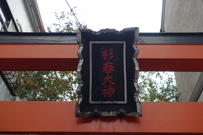 杉春大神　No9