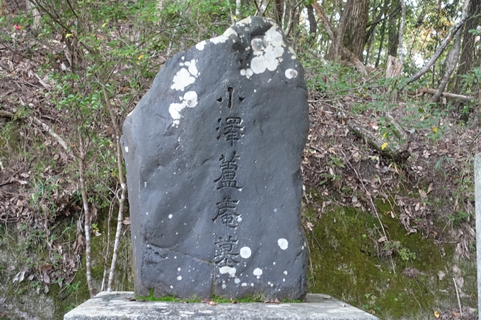 小沢蘆庵の墓　No15