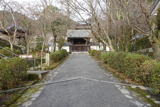 麒麟がくる_西教寺　No20