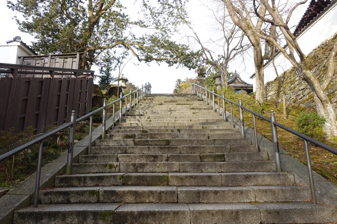 麒麟がくる_西教寺　No37