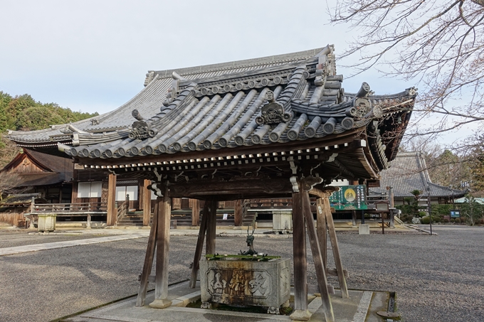 麒麟がくる_西教寺　No40