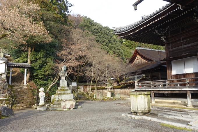 麒麟がくる_西教寺　No45