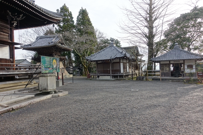 麒麟がくる_西教寺　No46