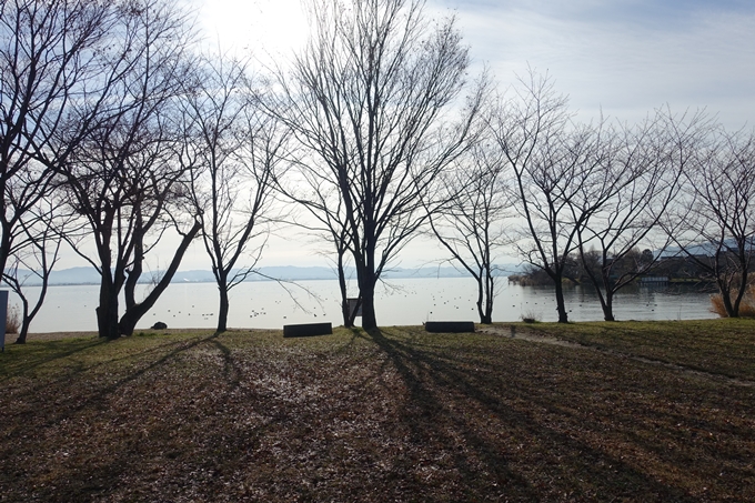 麒麟がくる_坂本城址公園　No19