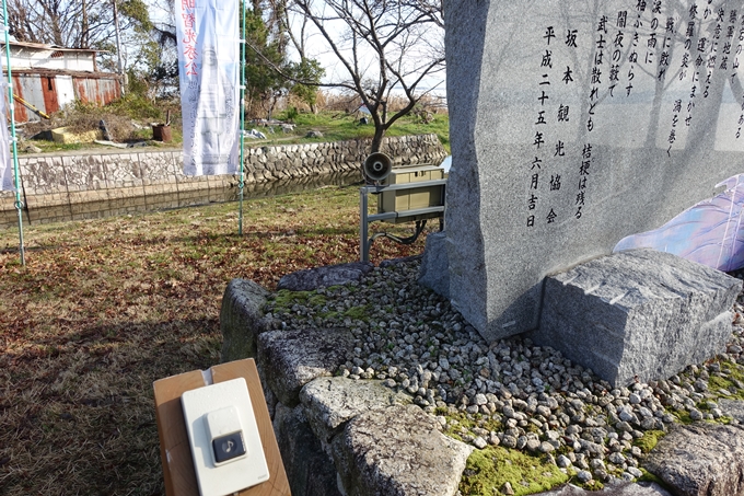 麒麟がくる_坂本城址公園　No15