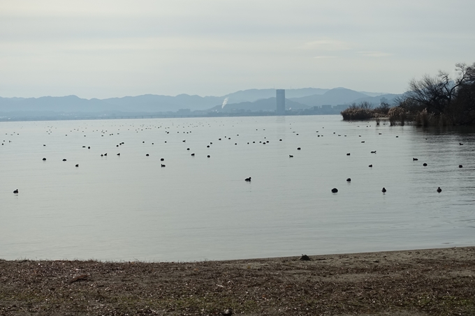 麒麟がくる_坂本城址公園　No21