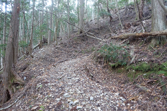 愛宕山_樒原　No30