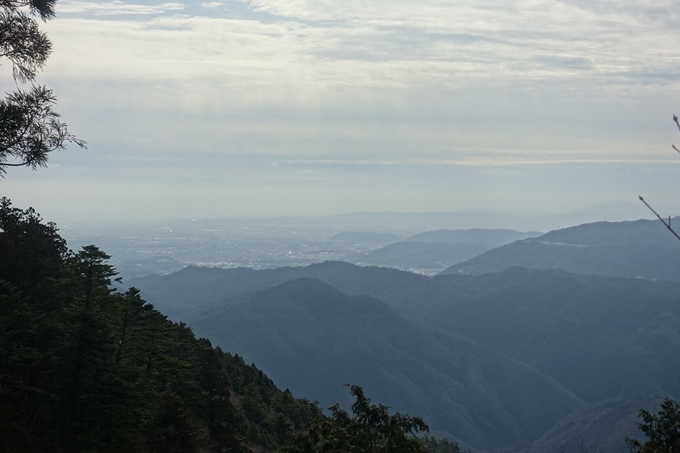 愛宕山_樒原　No84