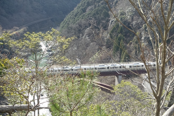 愛宕山_樒原　No102