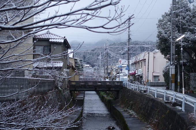 京都市内_雪景色_2020　No4