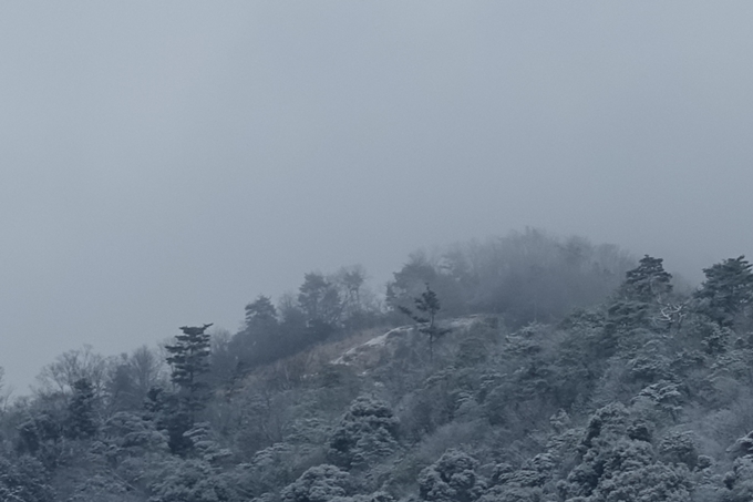 京都市内_雪景色_2020　No5