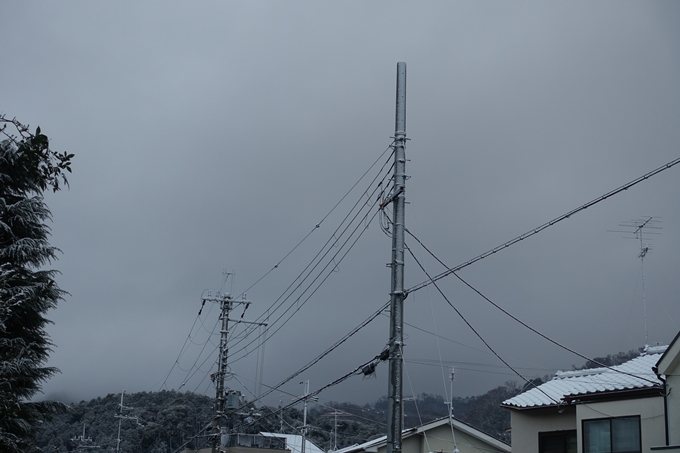 京都市内_雪景色_2020　No6