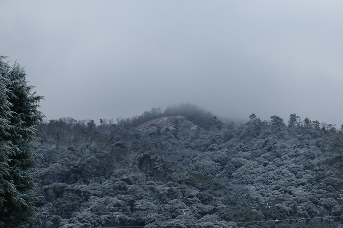 京都市内_雪景色_2020　No10