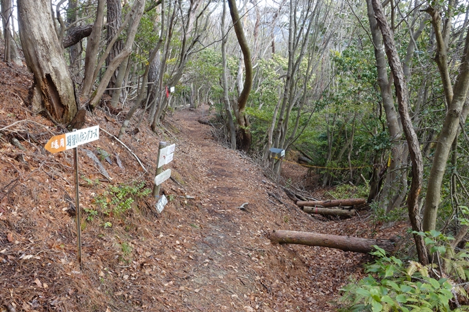 明智越え_高瀬山　No61