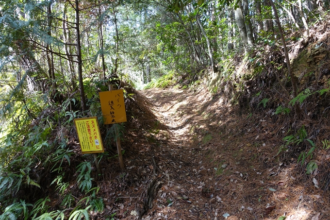 明智越え_高瀬山　No96