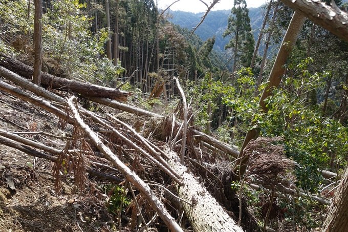 明智越え_高瀬山　No105