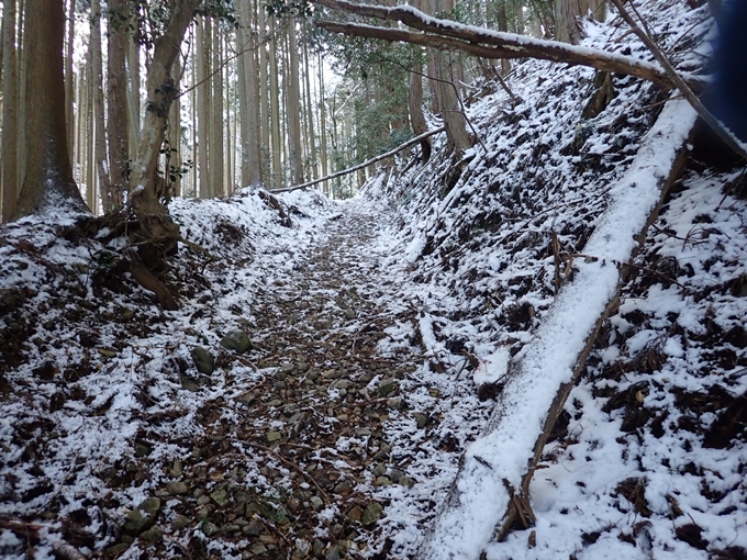 愛宕山_積雪　No25