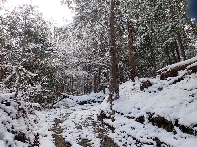 愛宕山_積雪　No30