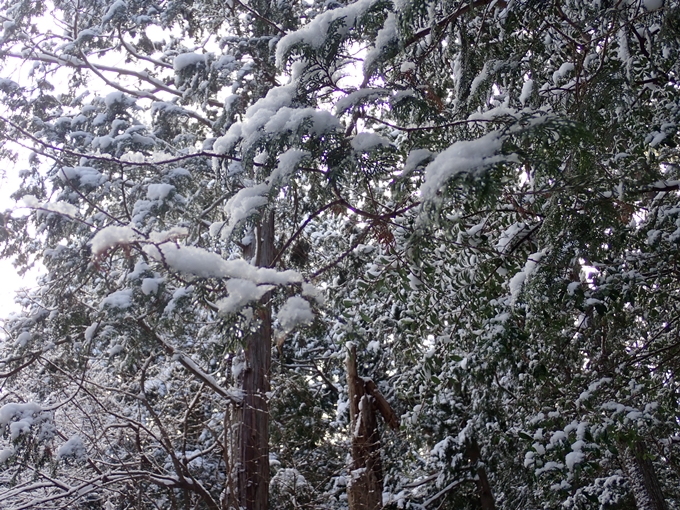 愛宕山_積雪　No31