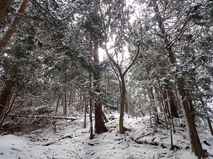 愛宕山_積雪　No32