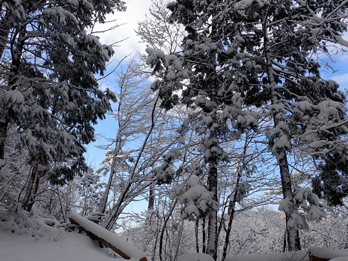 愛宕山_積雪　No35