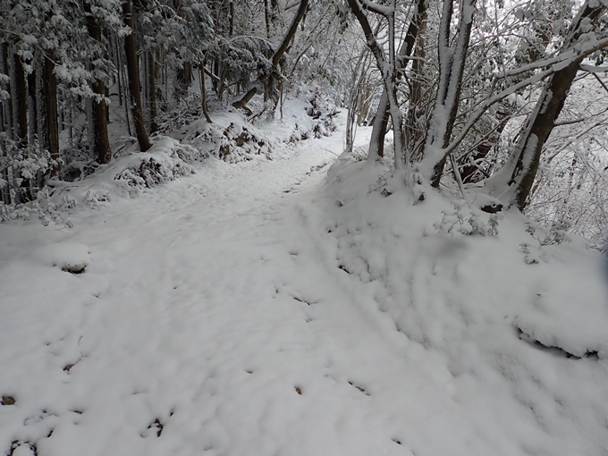 愛宕山_積雪　No36