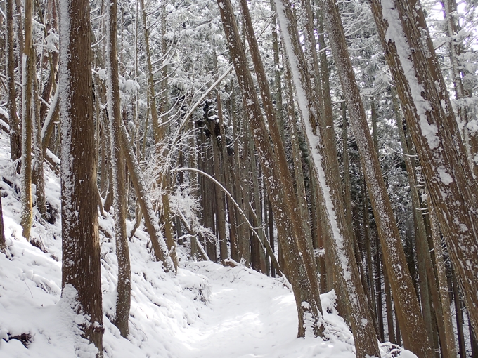 愛宕山_積雪　No41