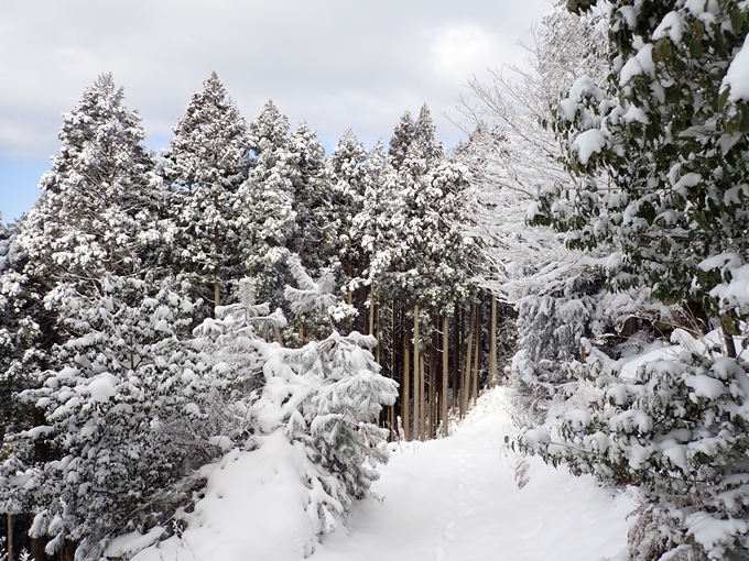 愛宕山_積雪　No46