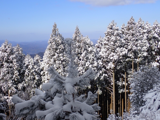 愛宕山_積雪　No47