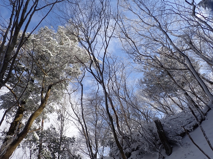 愛宕山_積雪　No55