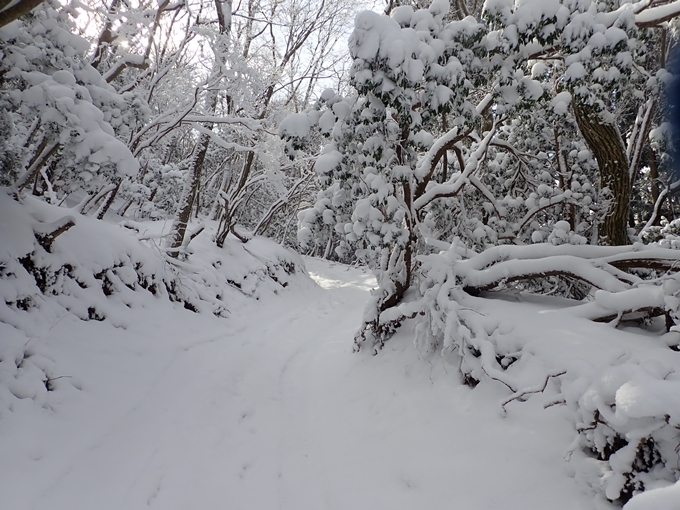 愛宕山_積雪　No58