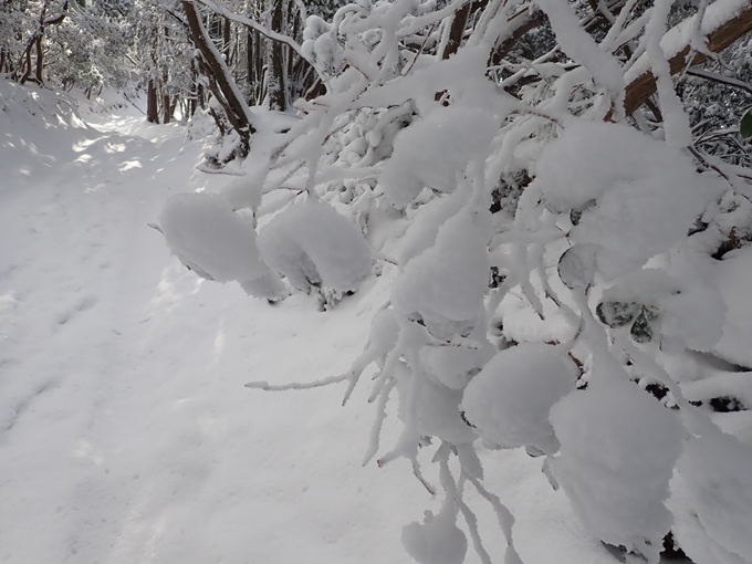 愛宕山_積雪　No59