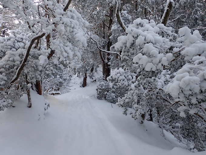 愛宕山_積雪　No60