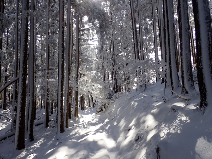 愛宕山_積雪　No61