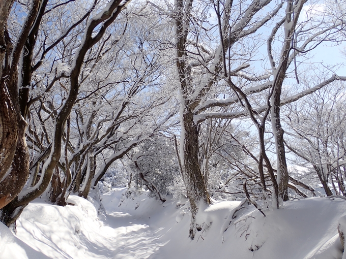 愛宕山_積雪　No68