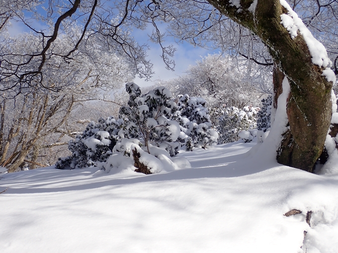 愛宕山_積雪　No69