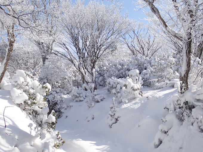 愛宕山_積雪　No70