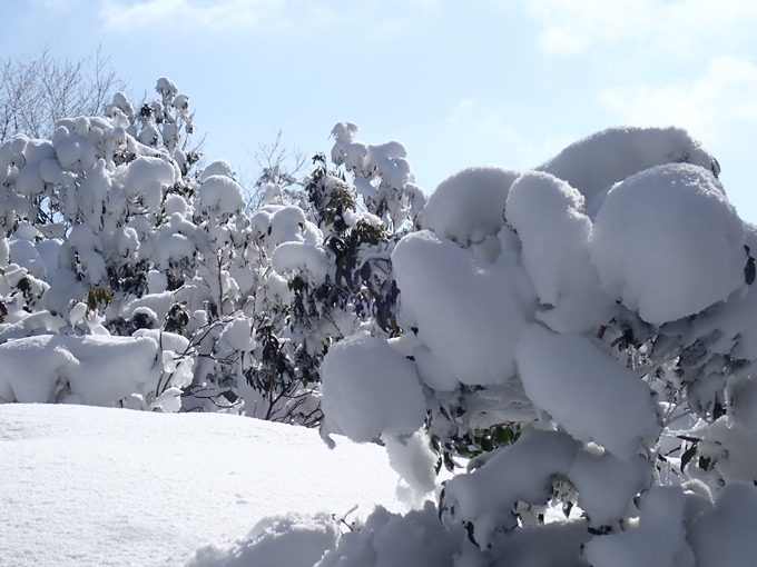 愛宕山_積雪　No71