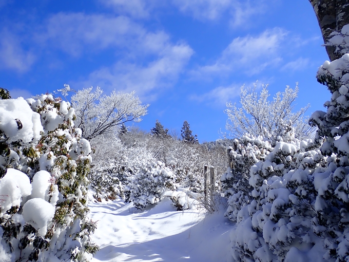 愛宕山_積雪　No72