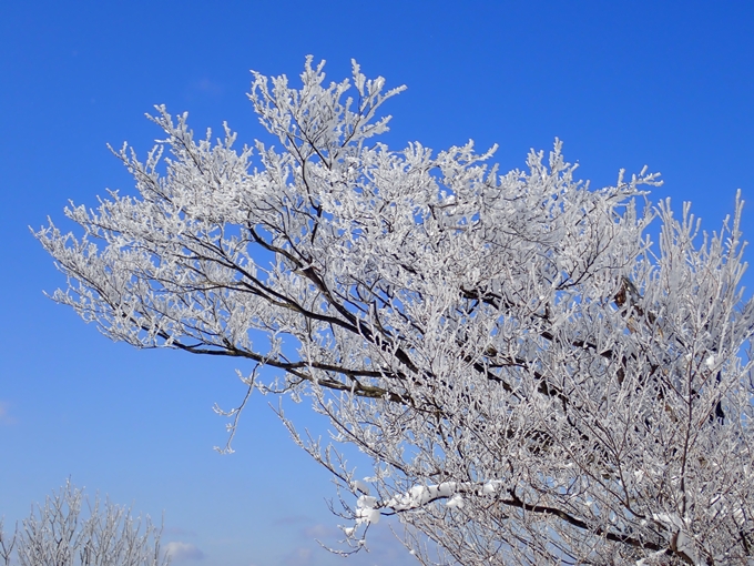 愛宕山_積雪　No75