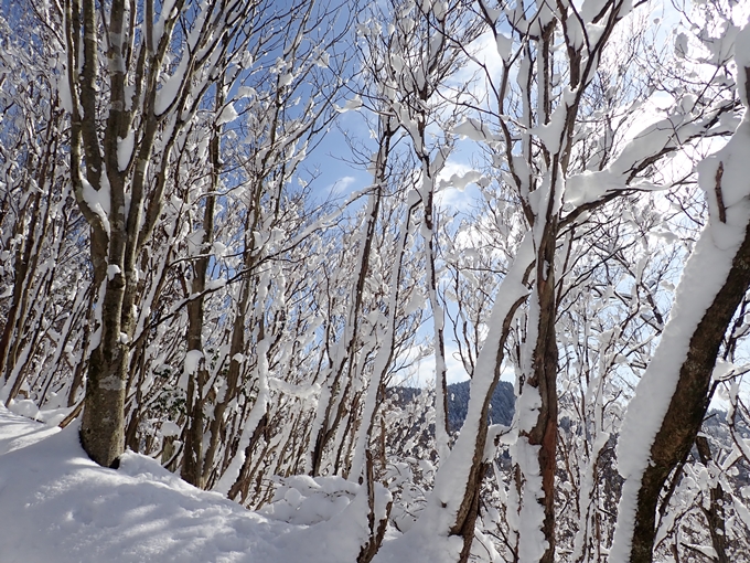 愛宕山_積雪　No76