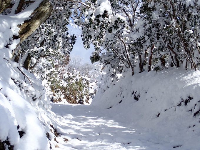 愛宕山_積雪　No77