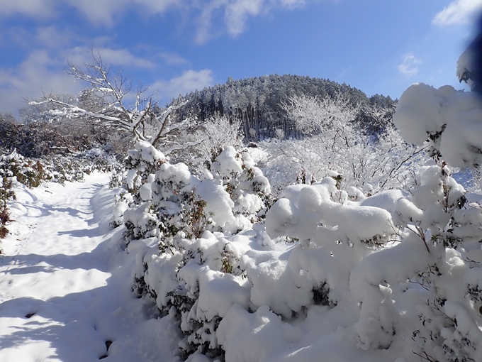 愛宕山_積雪　No78