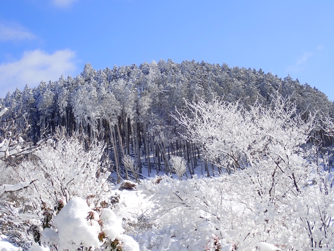 愛宕山_積雪　No79